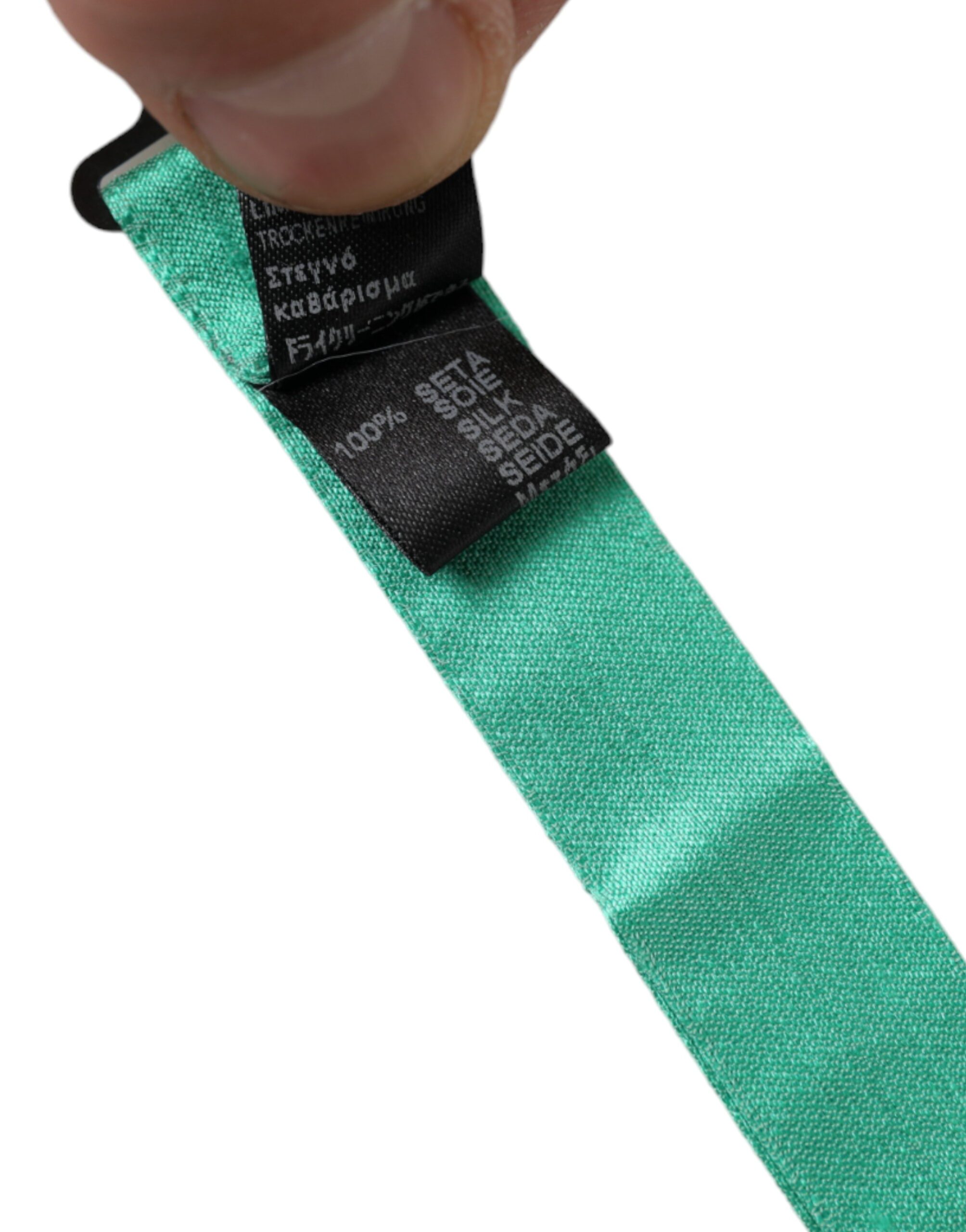 4610257.jpg