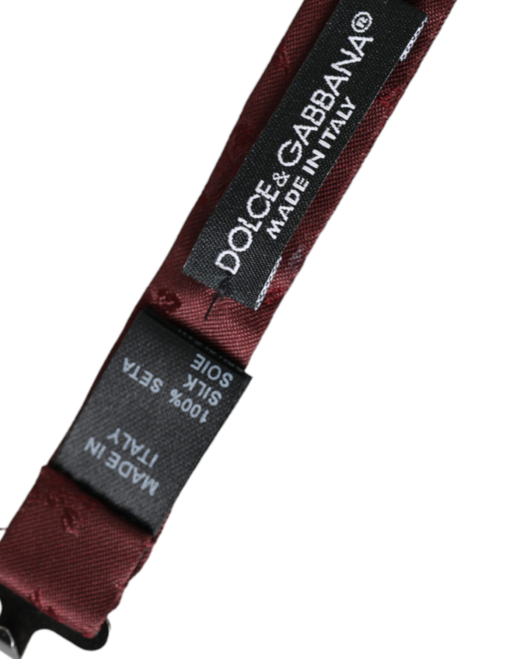 4610445.jpg