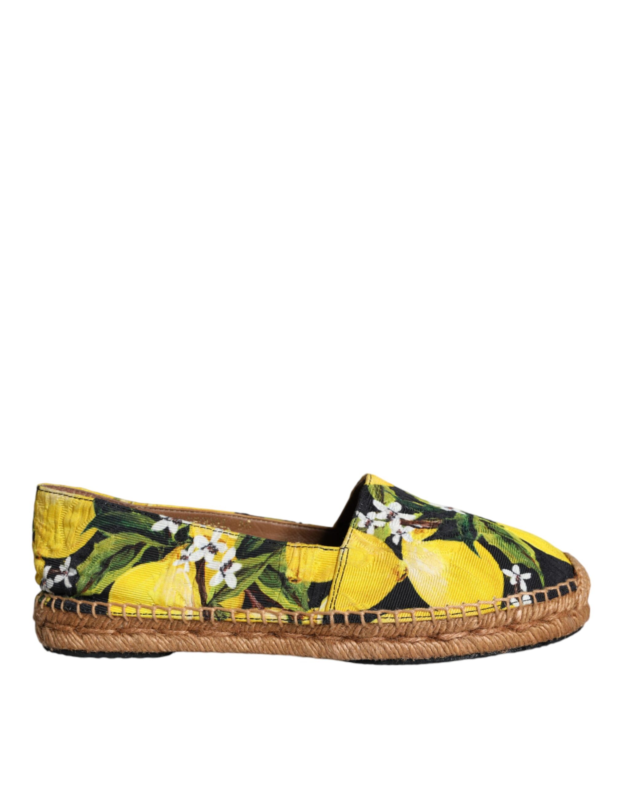 4629328.jpeg