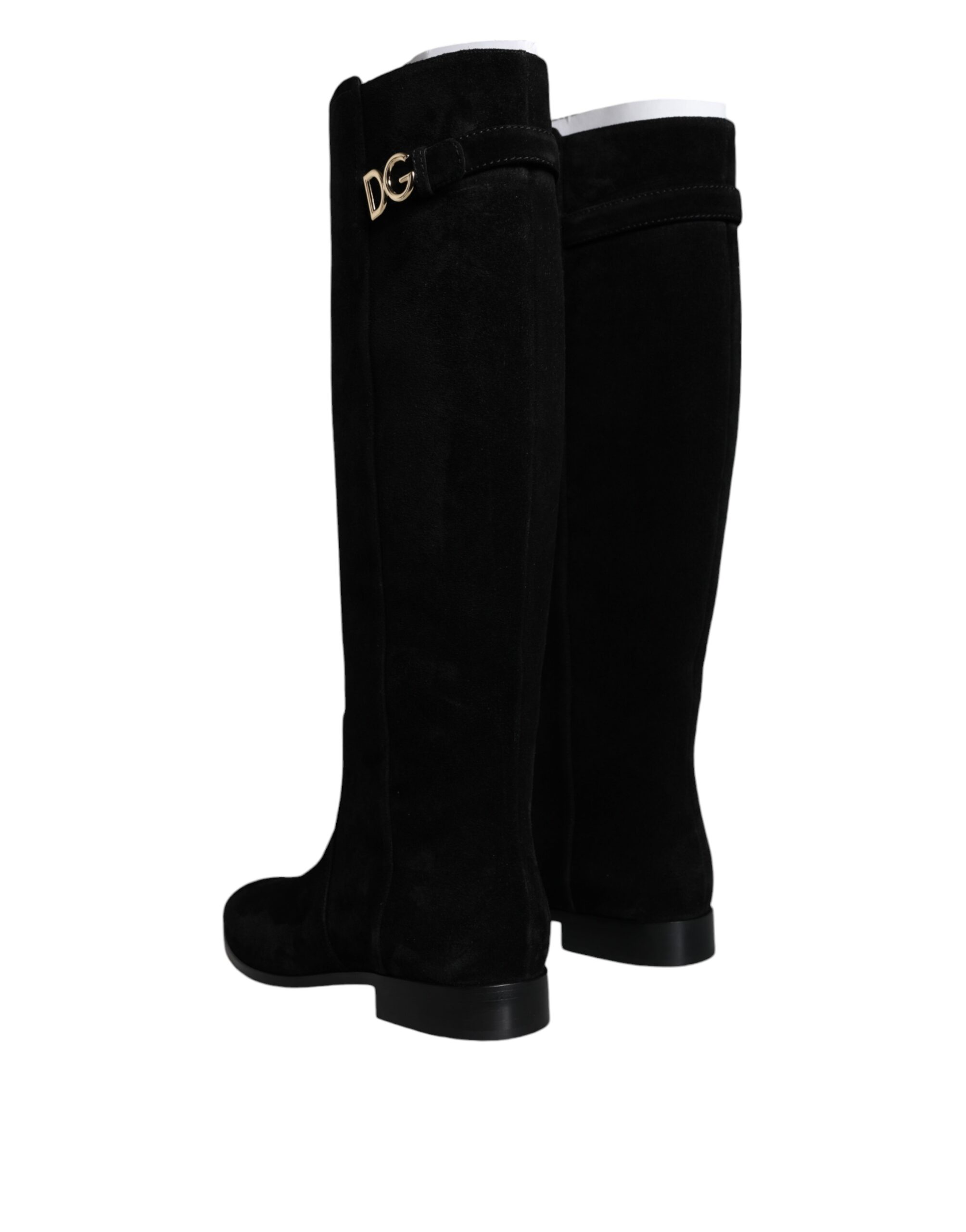 4629857.jpeg