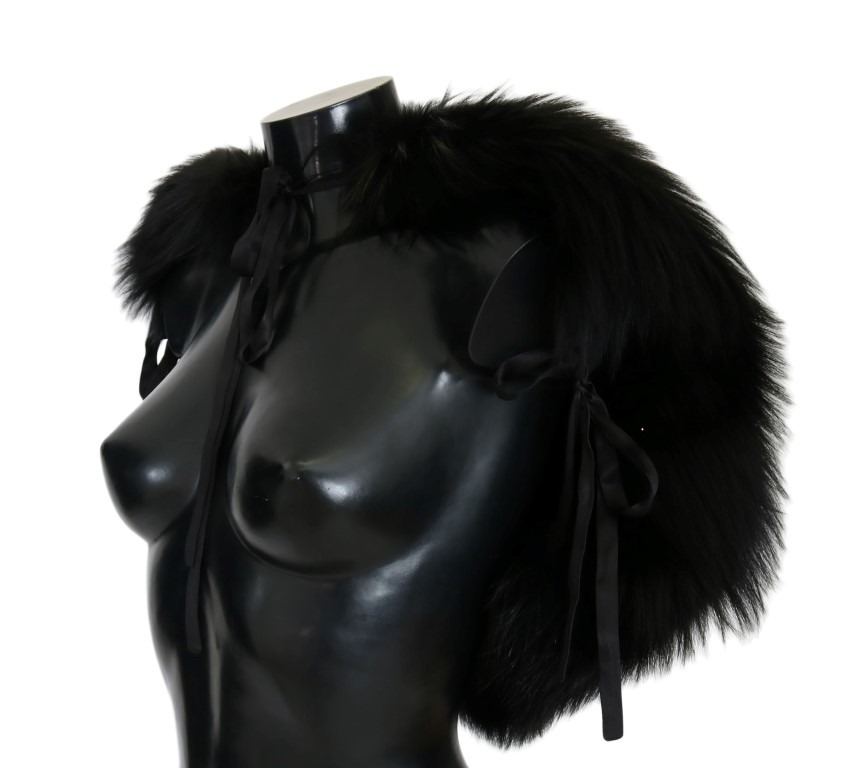 467119.jpg