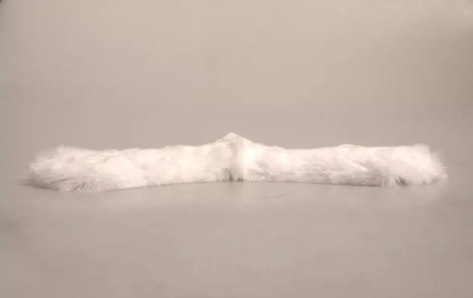 6193321.jpeg