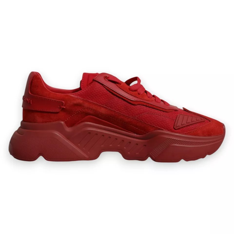 6200633.jpeg