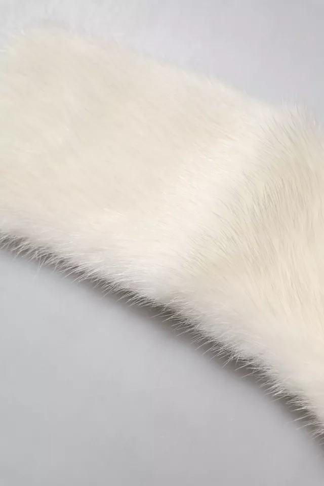 6431867.jpeg