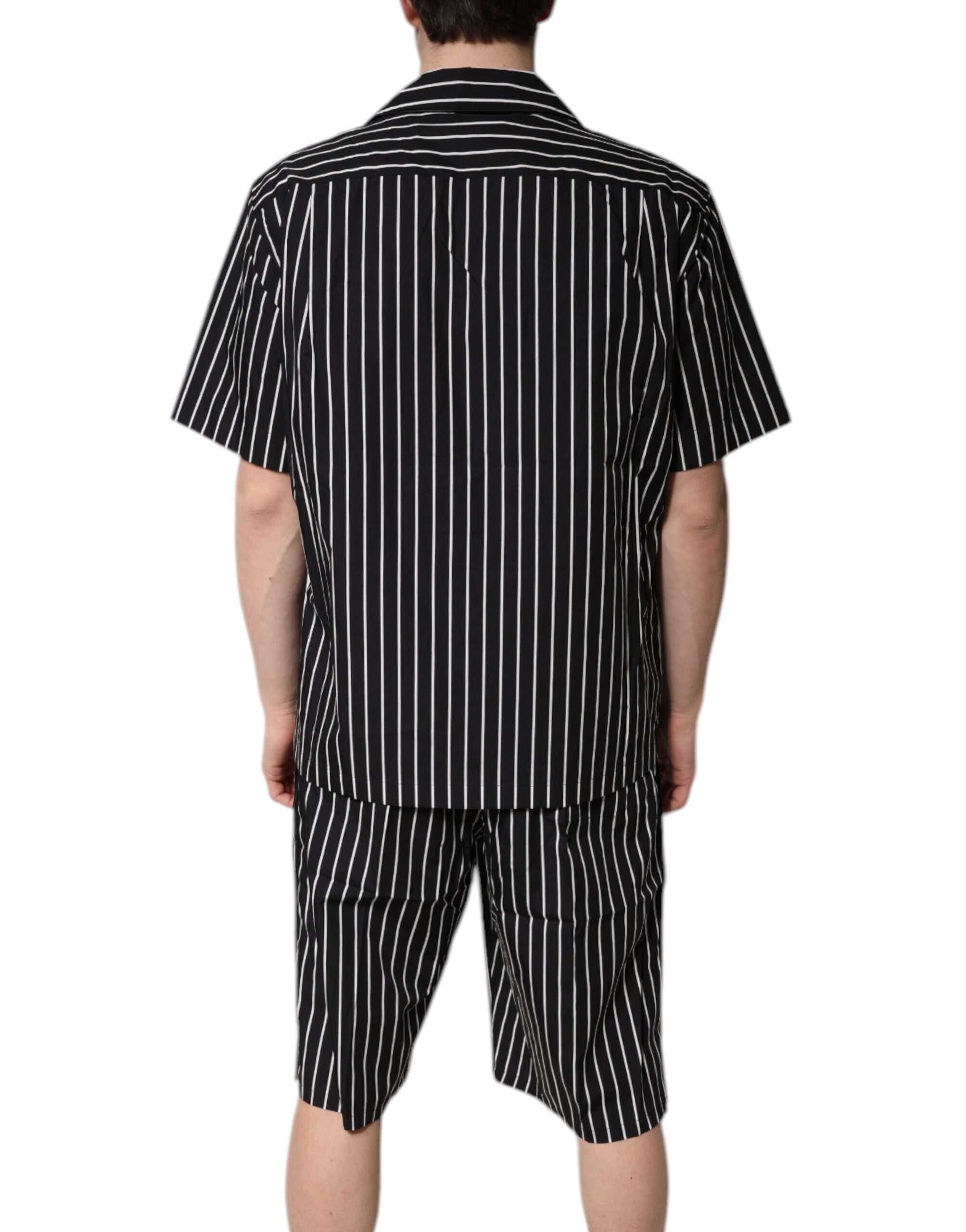 6930411.jpeg