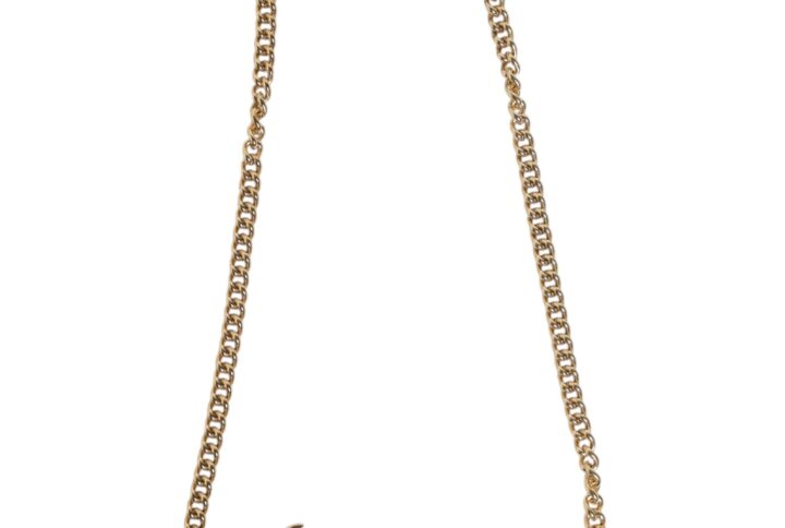 Brown Leopard Gold Brass Chain Accessory Shoulder Strap