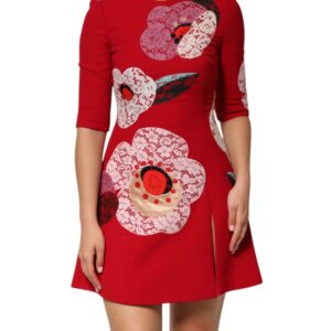 Red Lace Floral Applique A-line Mini Dress