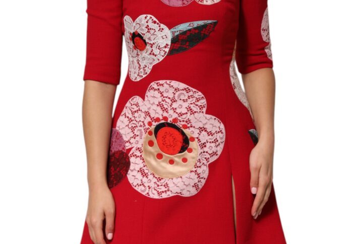 Red Lace Floral Applique A-line Mini Dress