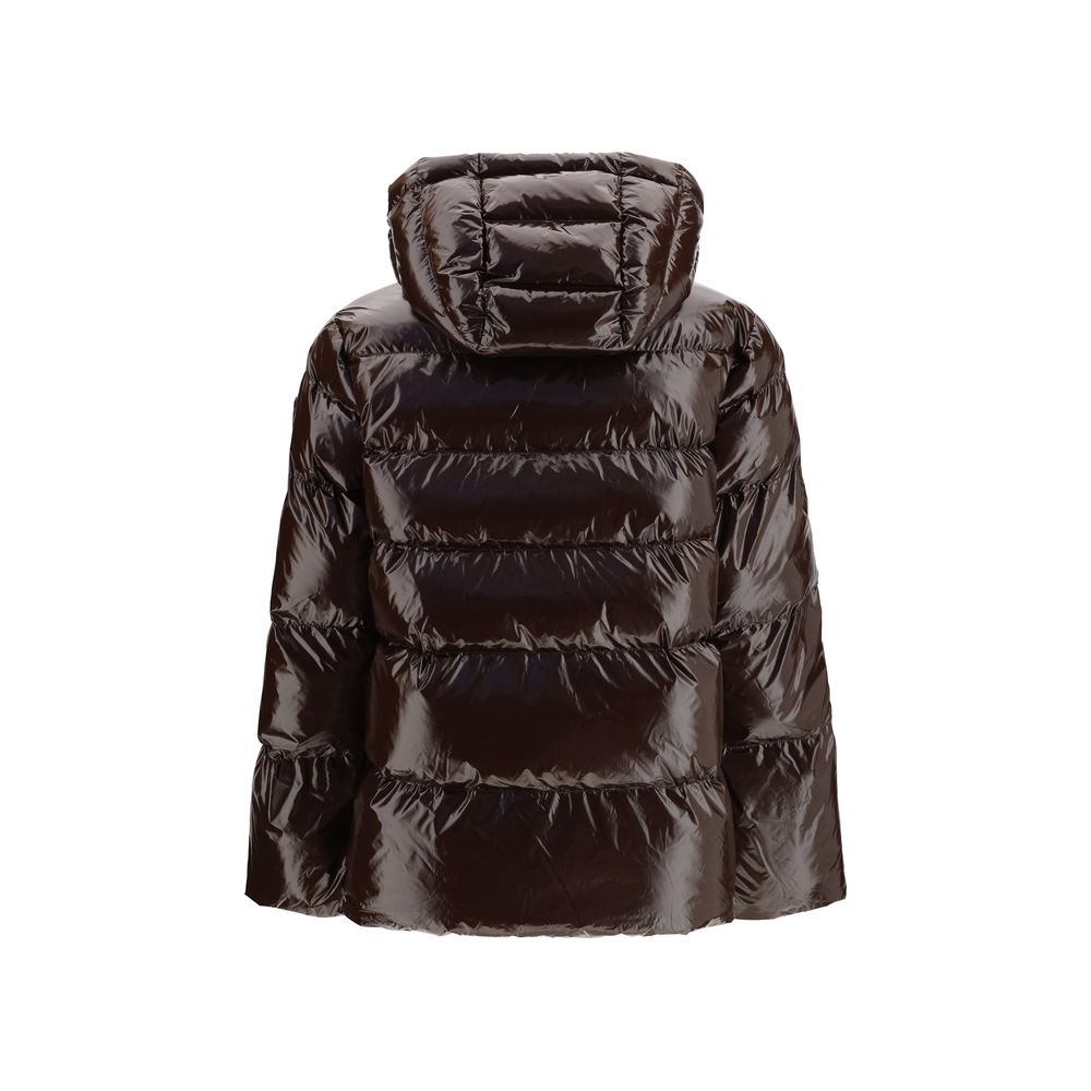 11043908.jpeg