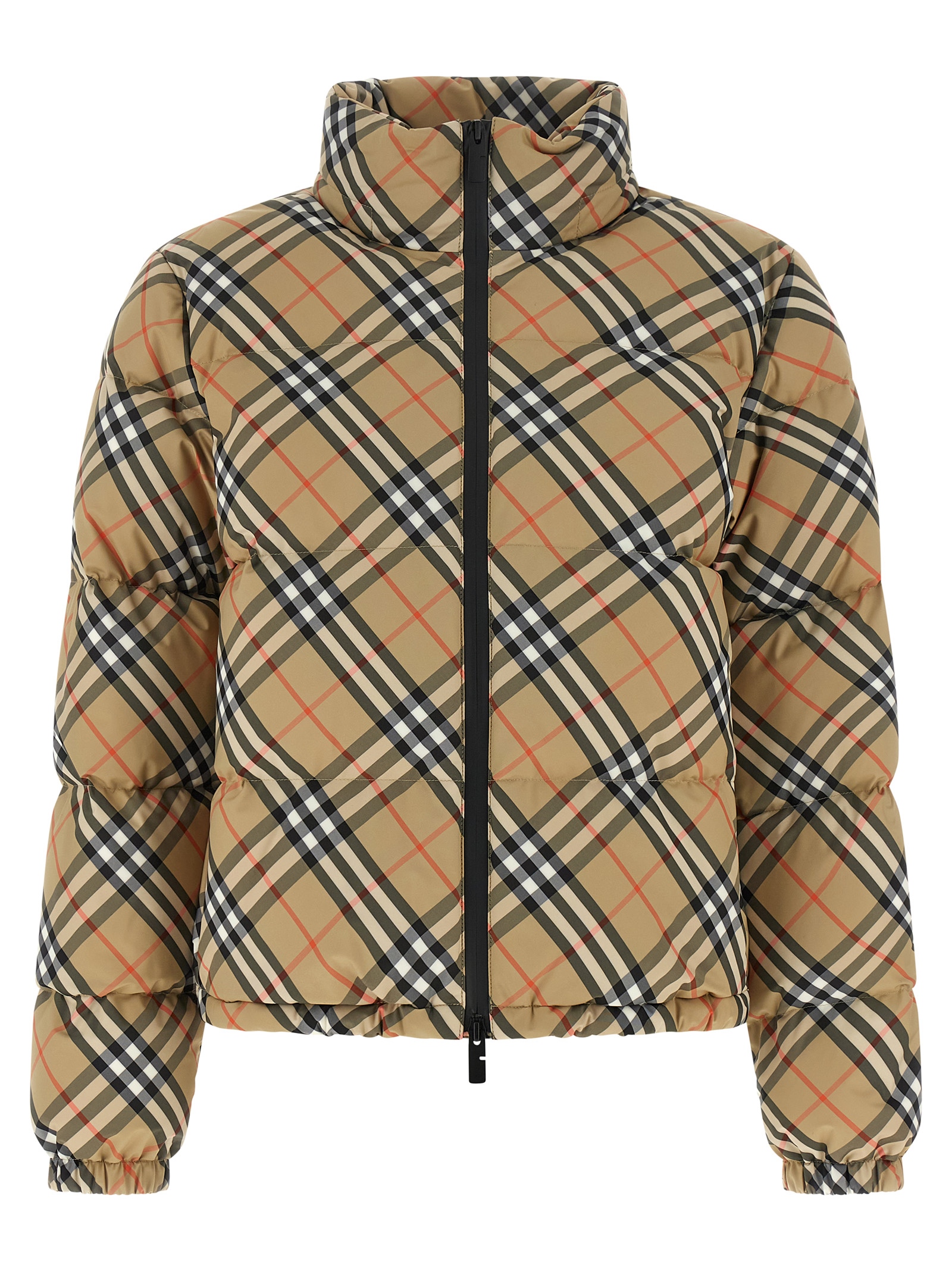 11106862.jpeg