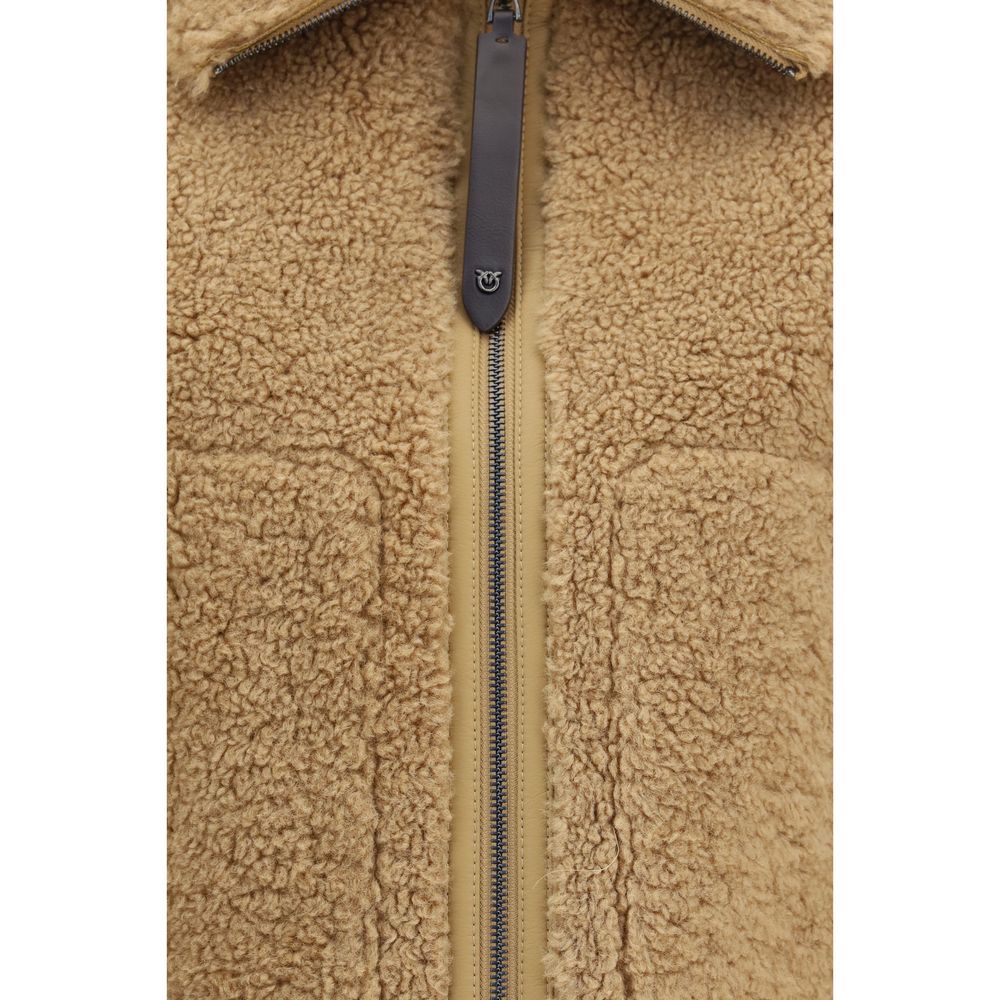 11170712.jpeg