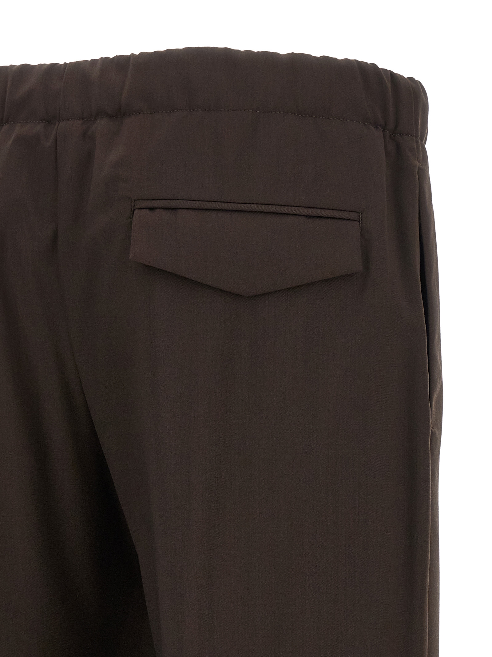 Brown Virgin Wool Casual Pants
